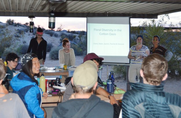 Powerpoint in the desert: presentation time (photo: Jim Fyles)